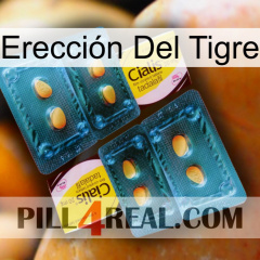 Erección Del Tigre cialis5